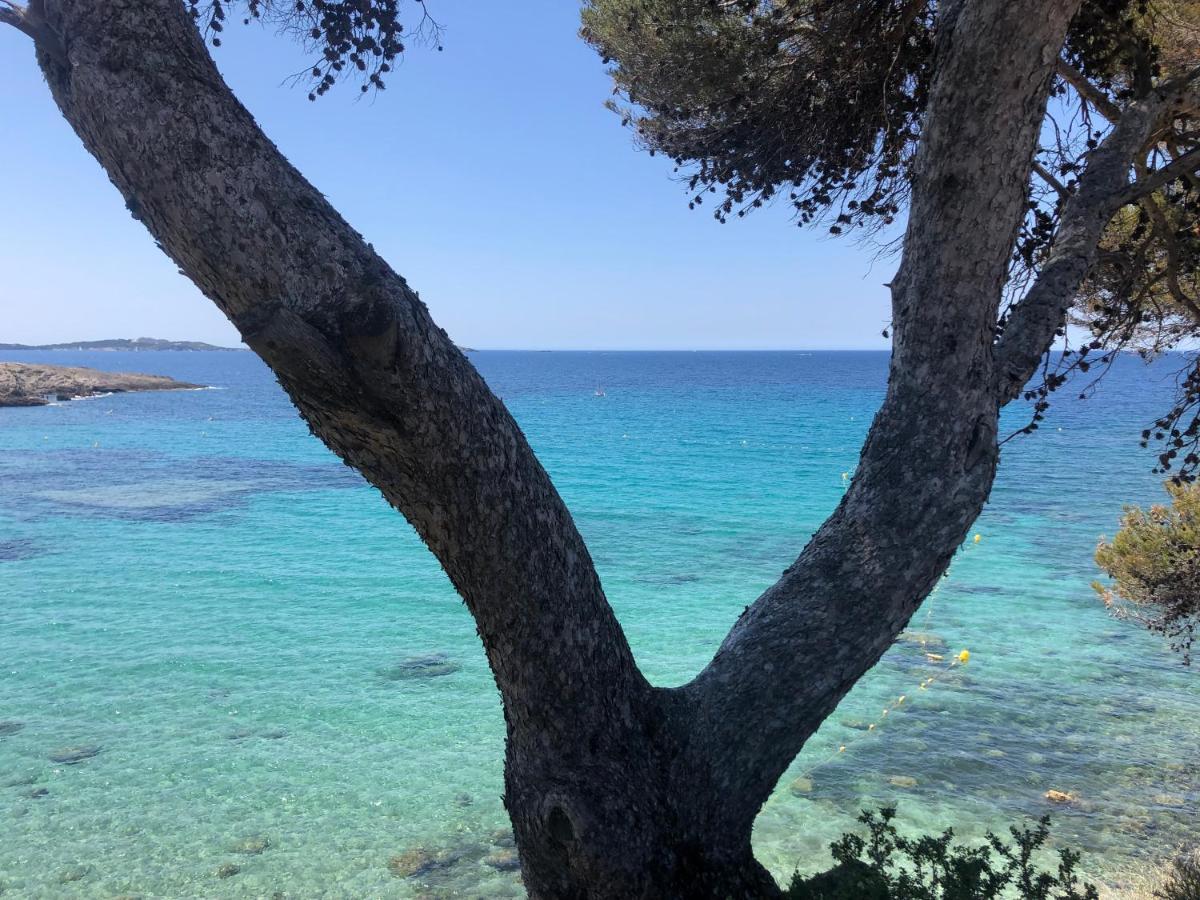 Les Baux 1 Apartman Sanary-sur-Mer Kültér fotó